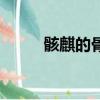 骸麒的骨戒哪里爆（骨戒哪里爆）