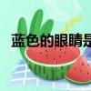 藍色的眼睛是什么歌的歌詞（藍眼睛歌詞）