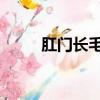 肛門長毛是正常的嗎（肛門 長毛）