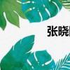 張曉剛（關于張曉剛介紹）