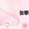 張攀國（關于張攀國介紹）