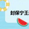 封保寧王冊（關于封保寧王冊簡介）