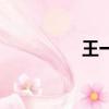 王一迪小歡喜（王一迪）