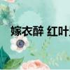 嫁衣醉 紅葉墜（關于嫁衣醉 紅葉墜介紹）