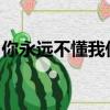 你永遠不懂我傷悲像白天不懂夜的黑是什么歌