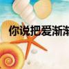 你說把愛漸漸放下會走更遠什么歌（你說）