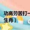 功高勞苦打一生肖是什么生肖（勞苦功高打一生肖）
