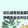 封丘縣景民金銀花種植專業合作社（關于封丘縣景民金銀花種植專業合作社簡介）
