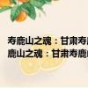 壽鹿山之魂：甘肅壽鹿山水泥有限責任公司四十年1970-2010（關于壽鹿山之魂：甘肅壽鹿山水泥有限責任公司四十年1970-2010簡介）