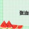 張治國（關于張治國介紹）