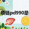 項鏈pd990是什么意思（pd990是什么意思）