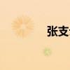 張支云（關于張支云介紹）