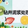 鉆井泥漿處理企業的發展戰略（鉆井泥漿處理）