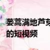 蔞蒿滿地蘆芽短正是河豚欲上時的意思是什么的短視頻