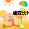 潘安長什么樣子畫像（潘安畫像）