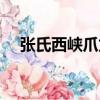 張氏西峽爪龍（關于張氏西峽爪龍介紹）