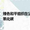 綠色和平組織在公司徽標旁邊舉著一個巨大的C和2創造出二氧化碳