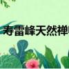 壽雷峰天然禪師（關于壽雷峰天然禪師簡介）