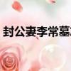 封公妻李常墓志（關于封公妻李常墓志簡介）