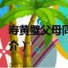 壽黃璧父母同六十（關于壽黃璧父母同六十簡介）