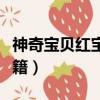 神奇寶貝紅寶石秘籍大全（神奇寶貝紅寶石秘籍）