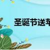 圣誕節送蘋果的意義（圣誕節送蘋果）