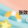 張效華（關于張效華介紹）