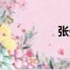 張曼（關于張曼介紹）