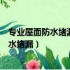 專業屋面防水堵漏延邊州住房公積金管理中心（專業屋面防水堵漏）