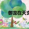 御龍在天玄晶（御龍在天空白的玄圖）