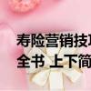 壽險營銷技巧全書 上下（關于壽險營銷技巧全書 上下簡介）