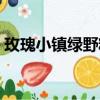 玫瑰小鎮綠野精靈產量（玫瑰小鎮綠野精靈）
