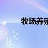 牧場養殖的正確方法（牧場養殖）