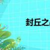 封丘之戰（關于封丘之戰簡介）