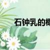 石鐘乳的概念（石鐘乳可以比作什么）