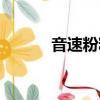 音速粉粉網站（音速粉粉網站）