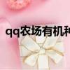 qq農場有機種子有哪些（qq農場有機種子）