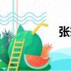 張杰（關于張杰介紹）
