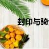 封印與騎士（關于封印與騎士簡介）