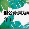 封公孫淵為燕王詔（關于封公孫淵為燕王詔簡介）