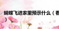 蝴蝶飛進家里預示什么(看見鬼蝴蝶預示什么)