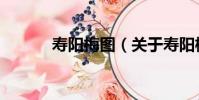 壽陽梅圖(關于壽陽梅圖簡介)