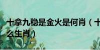 十拿九穩是金火是何肖(十拿九穩是金火是什么生肖)