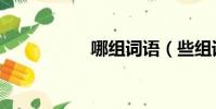 哪組詞語(些組詞語)