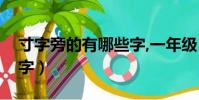 寸字旁的有哪些字,一年級(寸字旁的有哪些字)