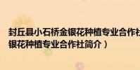 封丘縣小石橋金銀花種植專業合作社(關于封丘縣小石橋金銀花種植專業合作社簡介)
