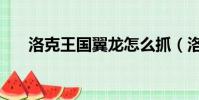 洛克王國翼龍怎么抓(洛克王國翼龍)