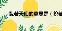 貌若天仙的意思是(貌若天仙的意思)