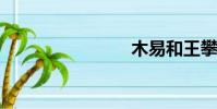 木易和王攀