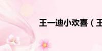 王一迪小歡喜(王一迪)